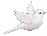 an illustrated dove moving its wings