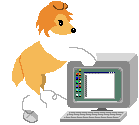 a border collie standing with its front paws on an old computer displaying microsoft paint